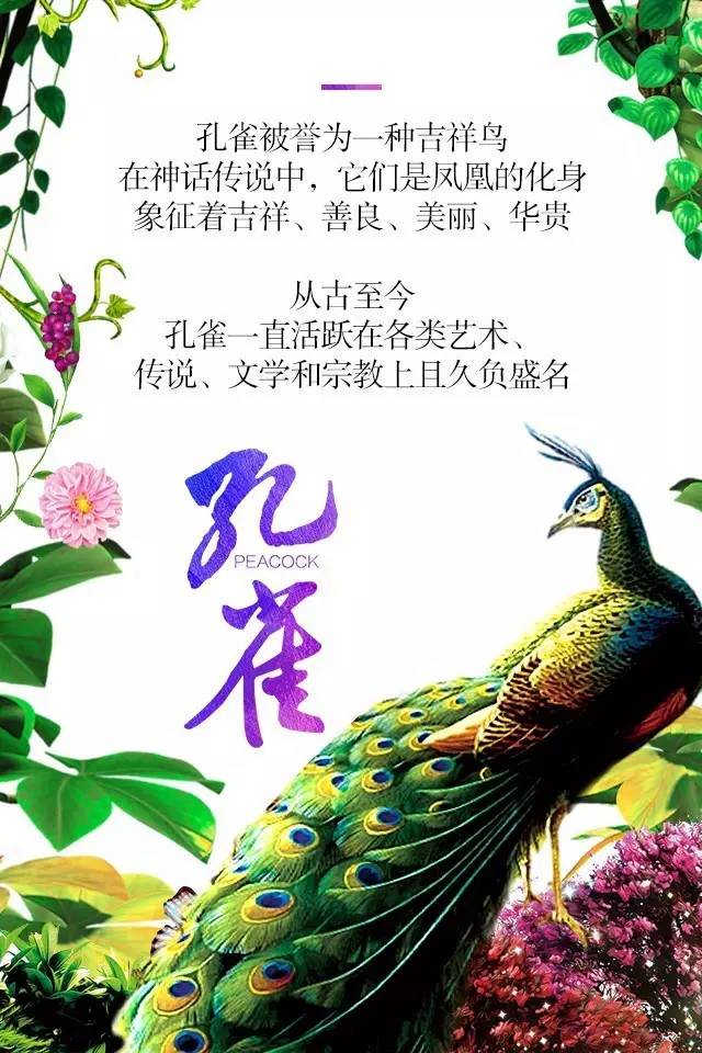 【915-918邵陽(yáng)秋季車(chē)展】鳳臨枝頭，雀雀雀雀雀實(shí)驚艷！