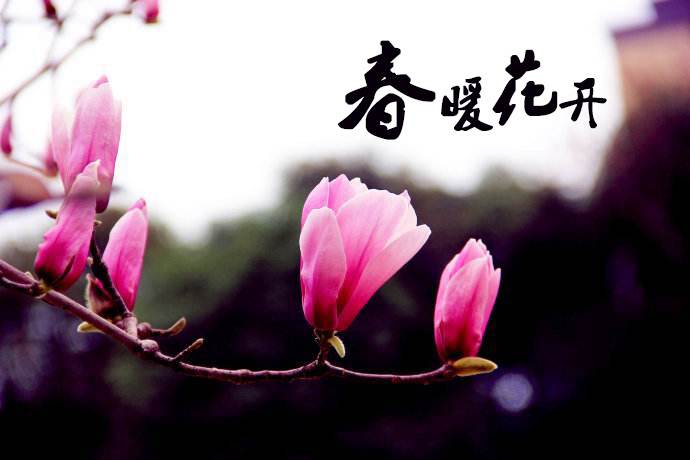 春暖花開(kāi) 教你春季如何做汽車(chē)保養(yǎng)！