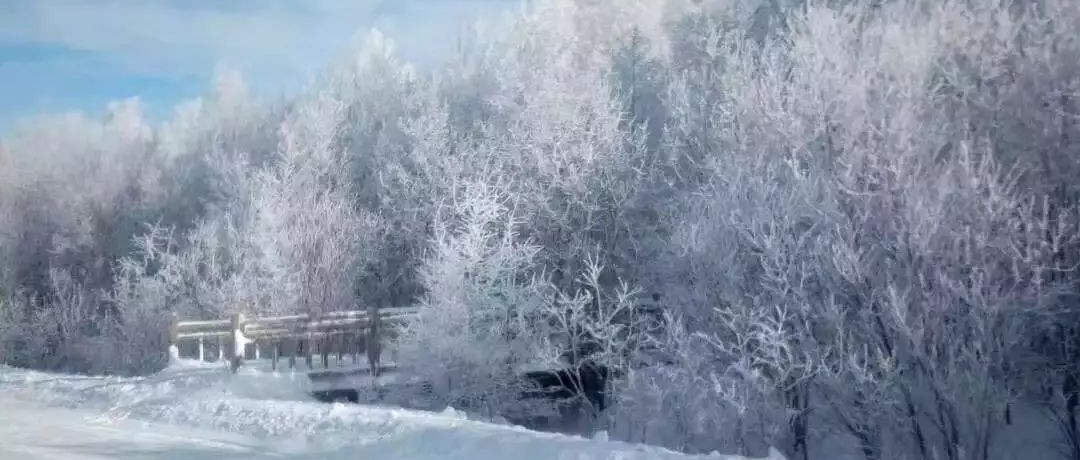 奕行記|奕路向北，駛向雪國阿爾山